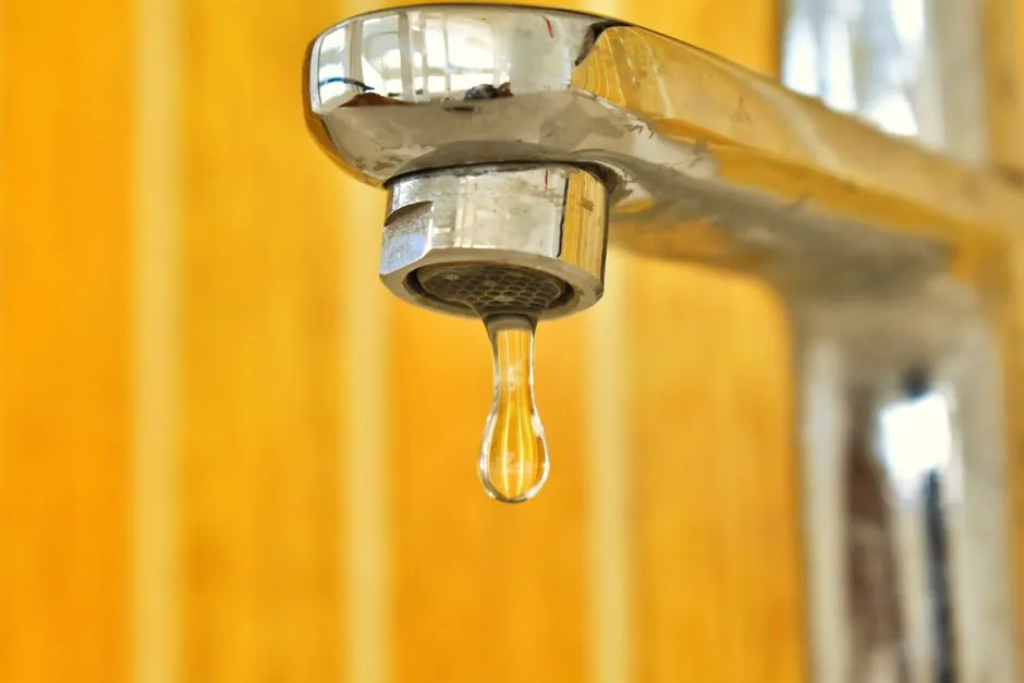 Moisture Meter Services