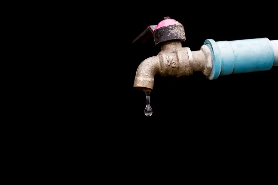 Williston leak detection — your local Leak Detection team